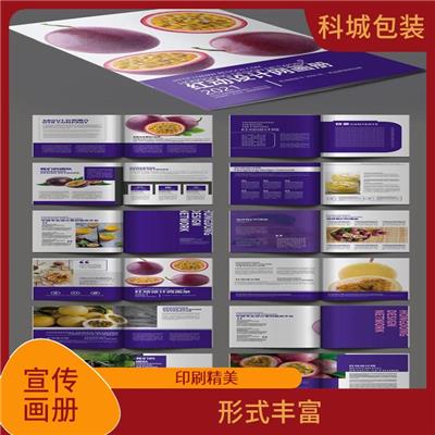 上海企业宣传画册定制 形式丰富 色彩艳丽