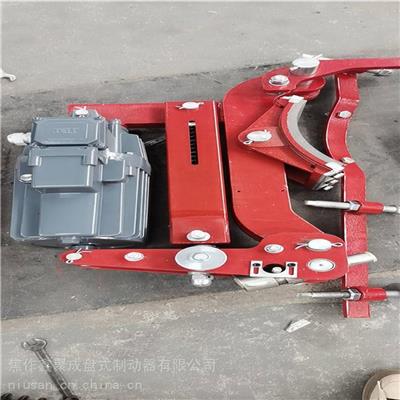 PY30II-W550/30 电力液压卧式制动器 按图加工