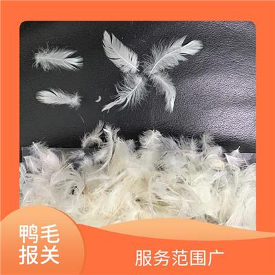 水洗鸭毛通关时效 服务范围广 系统化服务流程