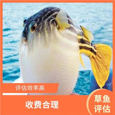 亲鱼评估 报告严谨 多年评估经验