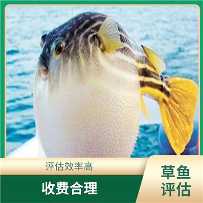 沈阳市青虾评估 报告严谨 服务完善