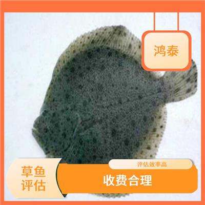 宿迁市大菱鲆 评估效率高 多年评估经验