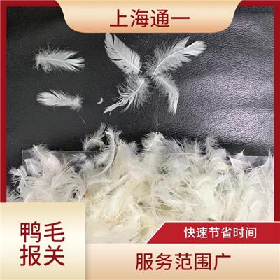 羽绒羽毛通关时效 全程跟踪服务 系统化服务流程