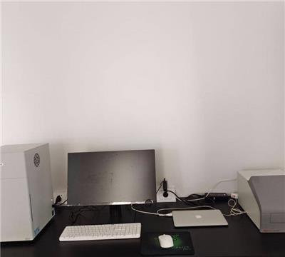 单克隆抗体制备服务 细胞融合技术 噬菌体抗体