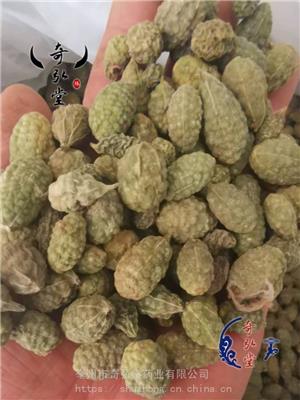 老鼠瓜价格-老鼠瓜哪里买得到