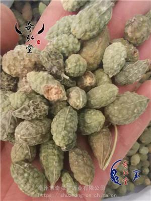 野西瓜价格-野西瓜哪里买得到