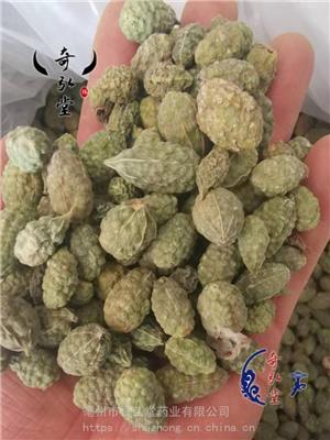 深圳**野西瓜哪里有卖的