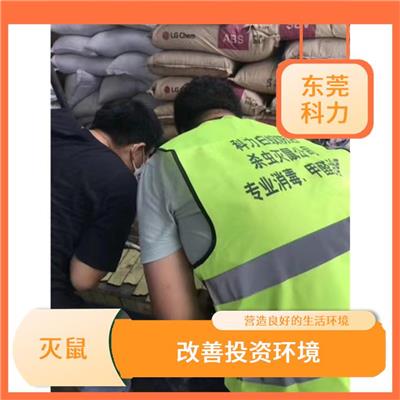 黄江灭鼠公司 降低传播率 长效防控防治复发