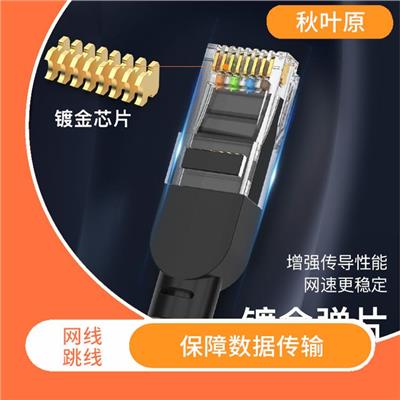 网线跳线的重要性 为什么你需要考虑使用它们