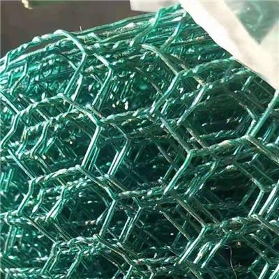 绿包塑六角网 拧花网 2.5cm 0.95mm 包管道用网 养殖网