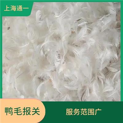 水洗鸭毛通关行 全程跟踪服务 现场配合海关查验