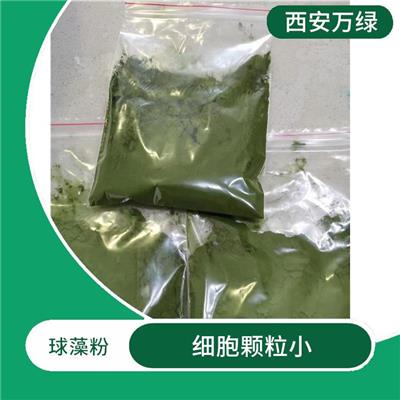 微拟球藻原料 繁殖迅速 易于吸收利用