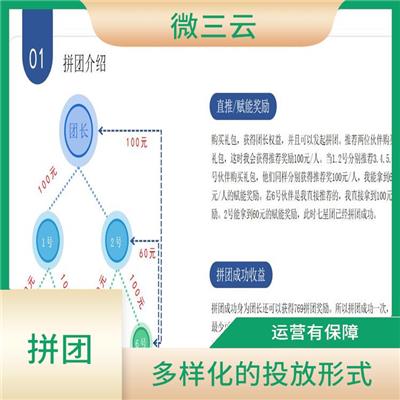 拼购 经验丰富 多用户端口