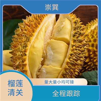 广州进口水果进口报关文件办理 处理方式灵活 通关效率高