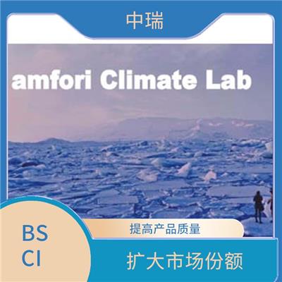BSIC RSP 减少重复审核 促进企业可持续发展