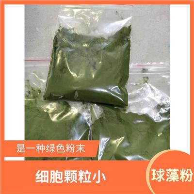 小球藻粉原料 生长迅速 是一种绿色粉末