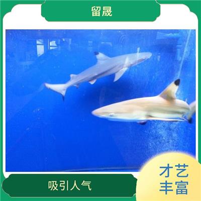 济宁海洋展览出租 观赏性好 视觉感观效果好