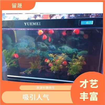 扬州海狮表演出租价格 表演生动 表演妙趣横生
