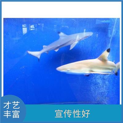 菏泽海洋展出租公司 吸引人气 互动性强