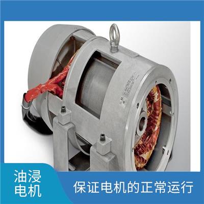 成都油浸电机厂家 外壳被油浸泡 减少了电机的热损耗