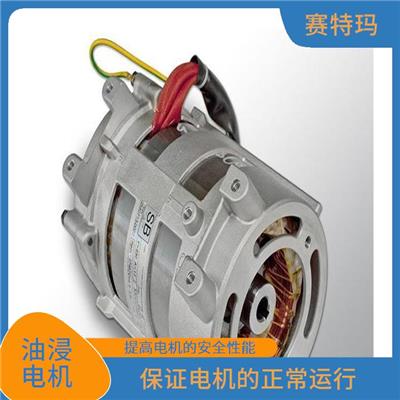 北京油浸电机价格 维护成本较低 减少了电机的热损耗