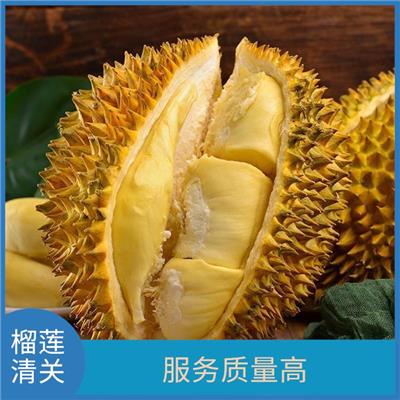 福州进口榴莲进口清关所需文件 节约申报时间 通关时间短