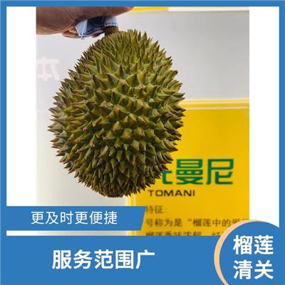 厦门进口榴莲进口清关文件办理 节约申报时间 省时省心省力