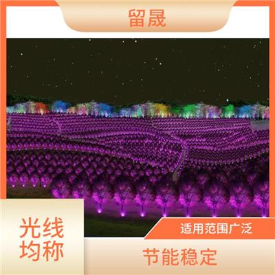 苏州灯光秀造型制作公司 氛围感强 具有艺术效果