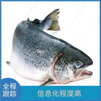 安徽巴西真鲳进口清关流程 通关时间短 无隐形消费