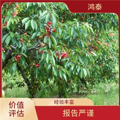 武汉市森林评估 收费合理 评估业务范围广