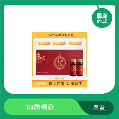 桑黄代加工 自然饱满 侧生无柄