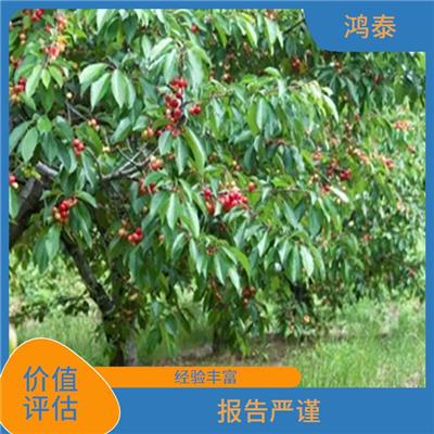 丹东市林场价值评估 报告严谨 评估业务范围广
