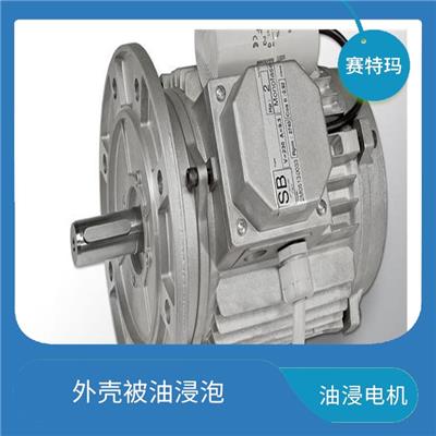 上海油浸电机价格 保证电机的正常运行 起到冷却电机的作用
