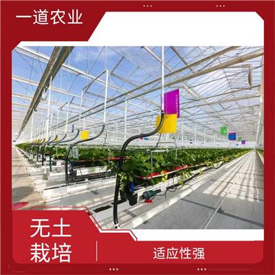 无土栽培温室 南宁荷兰无土栽培种植