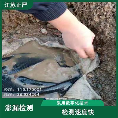 包头防渗膜破损 采用数字化技术 能够将检测数据直接输出