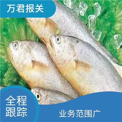 俄罗斯绿美叶藻 进口清关公司 信息化程度高 处理方式灵活