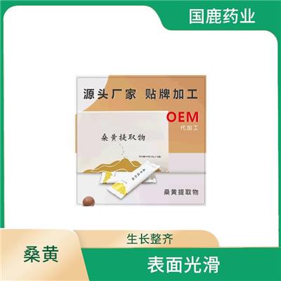 桑黄口服液代工 自然饱满 性寒 味道偏苦