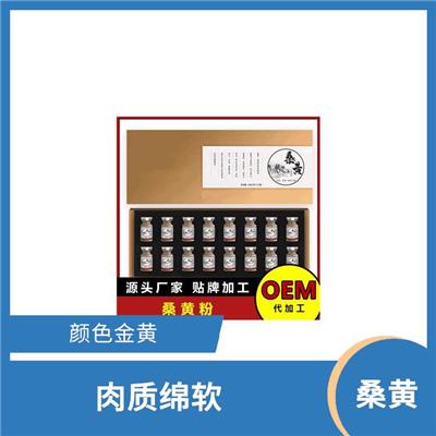 杨树桑黄 纤维细腻 生长整齐