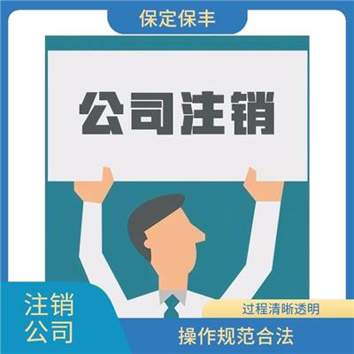 竞秀区公司注销 节省时间免费咨询