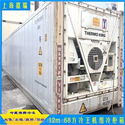 28方 68方集装箱冷冻柜出租 出售 维修一条龙服务 自有堆场专业团队