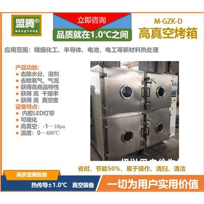 隔爆式真空箱 精密真空烤箱
