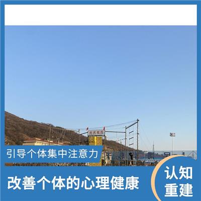 高空心理行为训练器材 可追踪性 可调节负荷