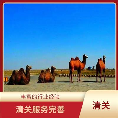 外蒙古清关 安全快捷 清关服务完善
