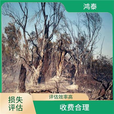 草原火灾损失评估 一对一服务 多年评估经验