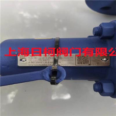 FIG12.921安全阀_德国ARI艾瑞安全阀FIG.921_DN50_JL1040导热油安全阀