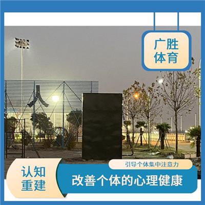 心理行为训练器材厂家 反馈机制 促进身体平衡