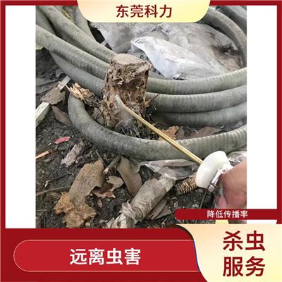厚街杀虫服务 杀虫迅速 无隐形消费