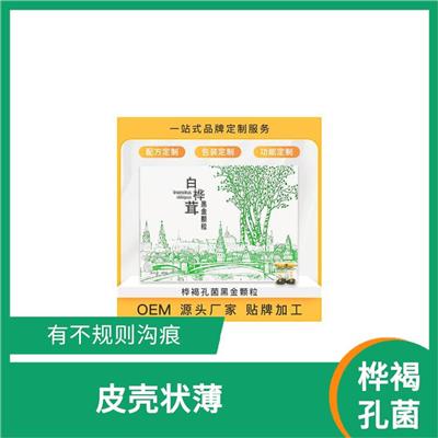 俄罗斯桦树茸 活性很强 有不规则沟痕