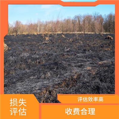 呼和浩特市林木火灾损失评估 收费合理 评估流程标准化