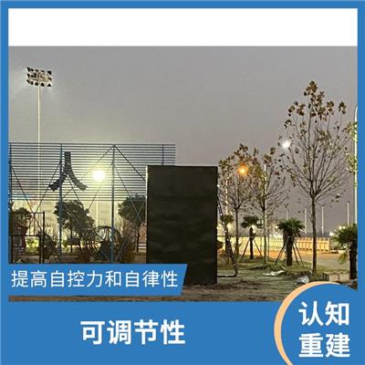 高空心理行为训练器材 安全性 促进身体平衡